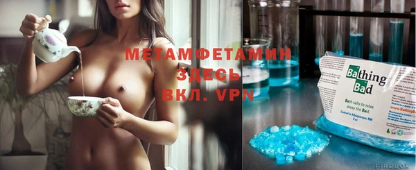 прущие грибы Лабытнанги