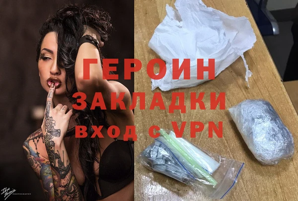 прущие грибы Лабытнанги