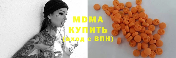прущие грибы Лабытнанги