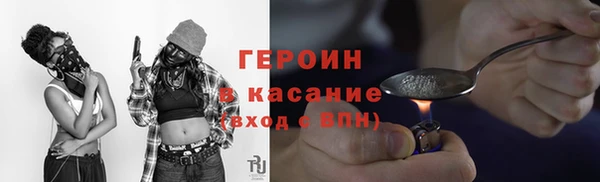 прущие грибы Лабытнанги