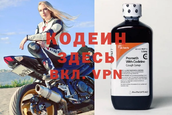 прущие грибы Лабытнанги