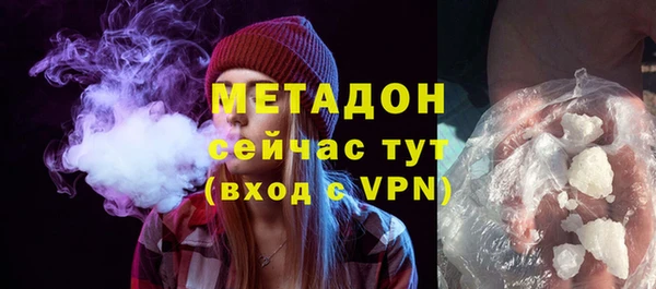 прущие грибы Лабытнанги
