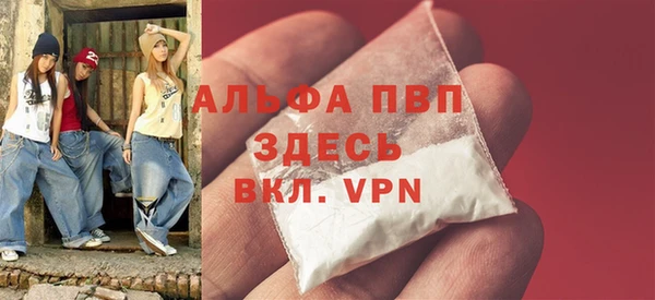 прущие грибы Лабытнанги