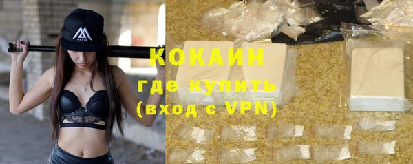 прущие грибы Лабытнанги